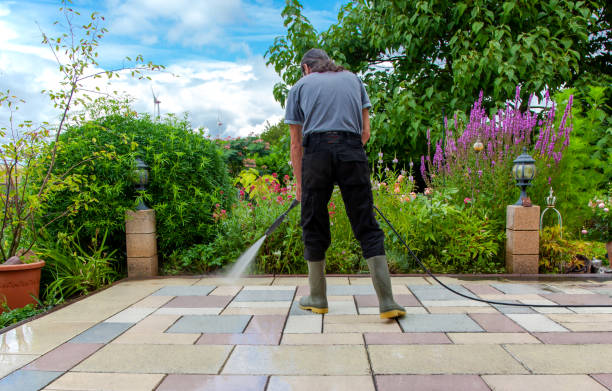 Best Winterizing Services  in Arroyo Seco, NM
